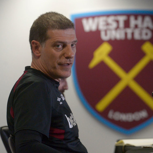 Bilic in his pre-brighten Press-conference