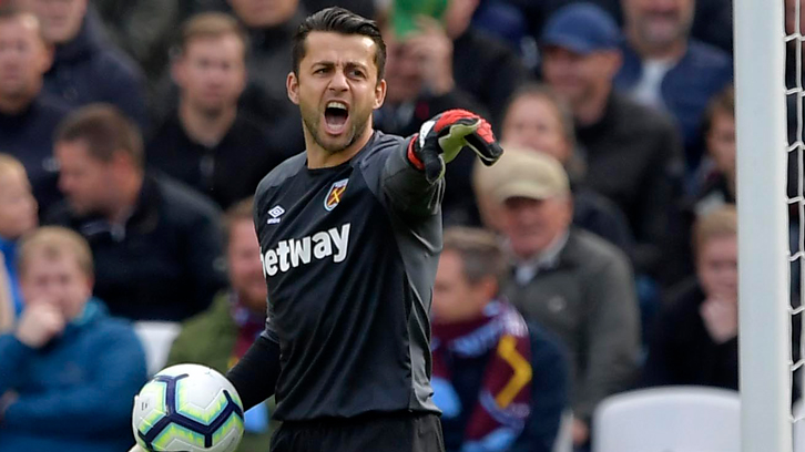 Lukasz Fabianski