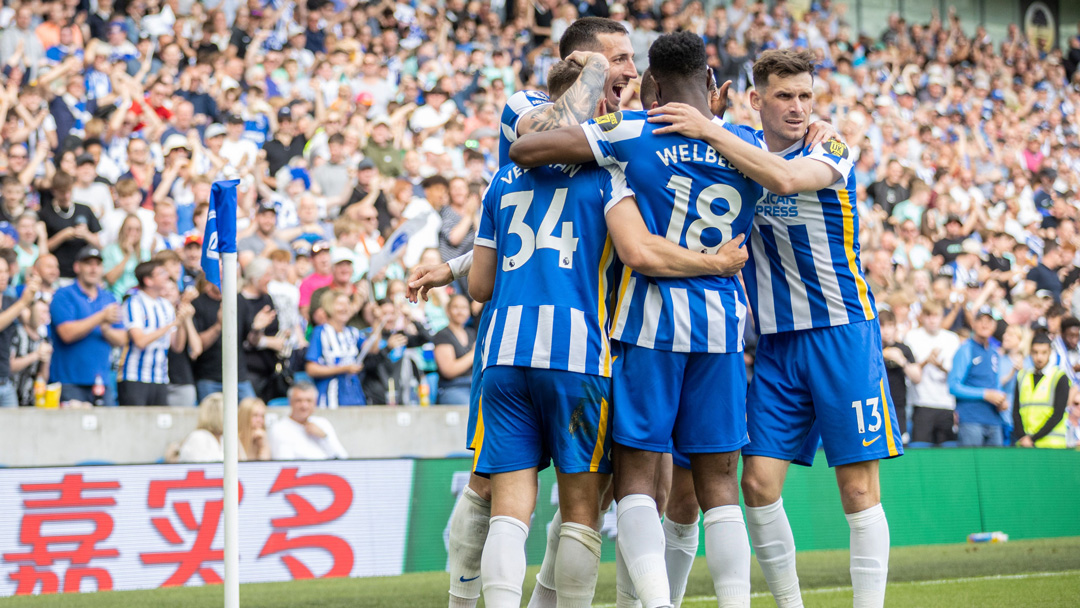 Brighton celebrate 