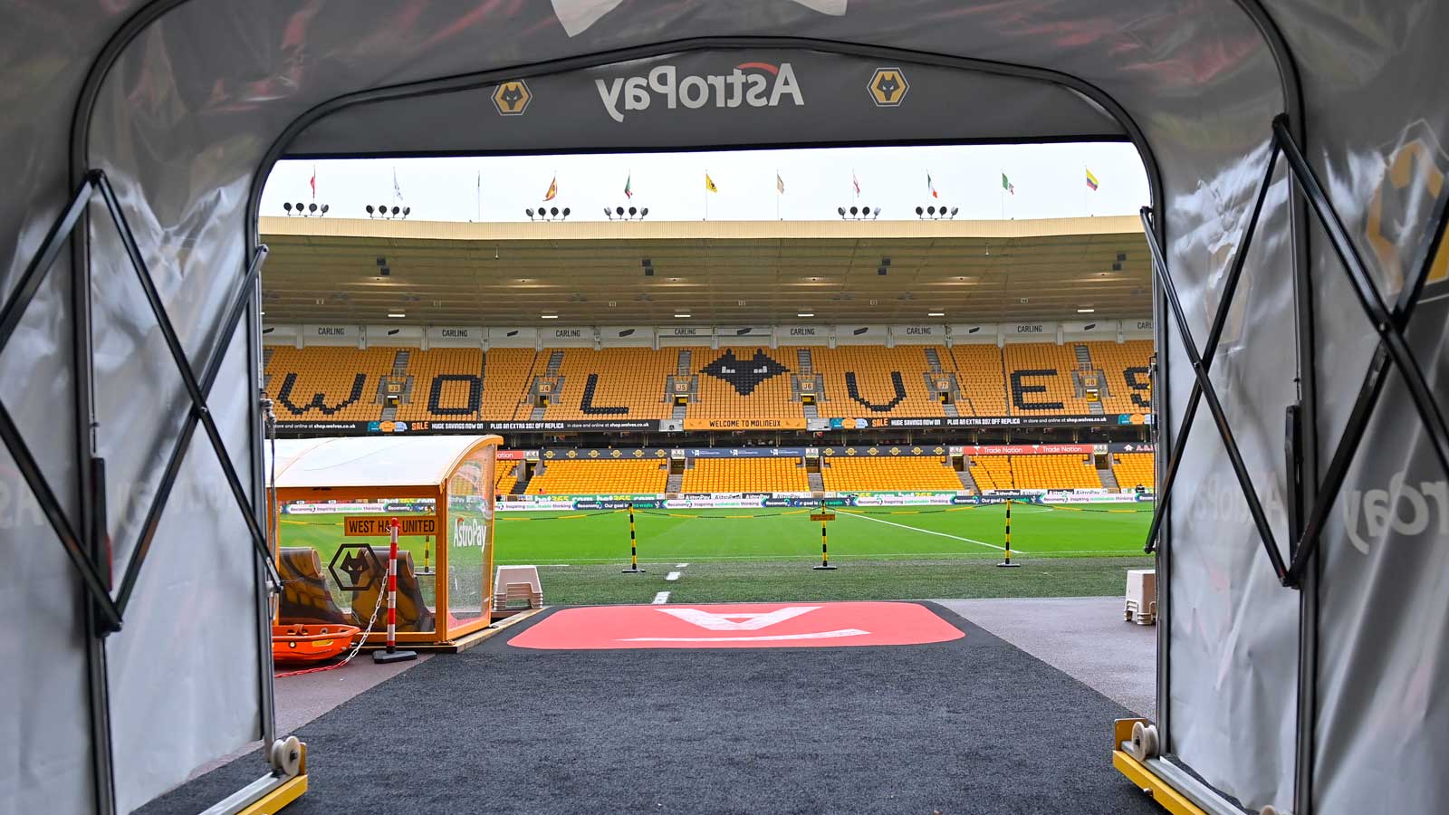 Molineux