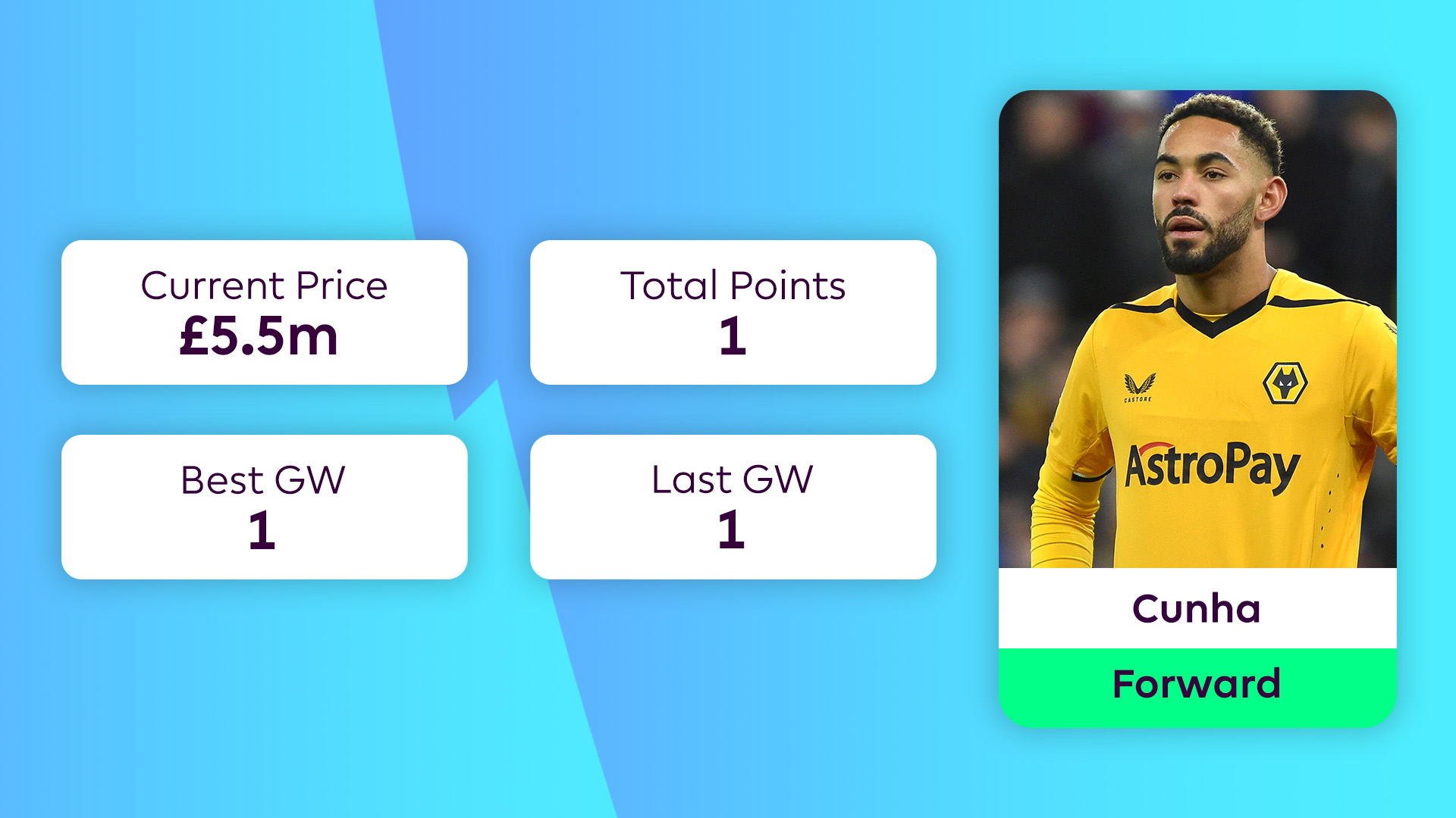 Wolves FPL