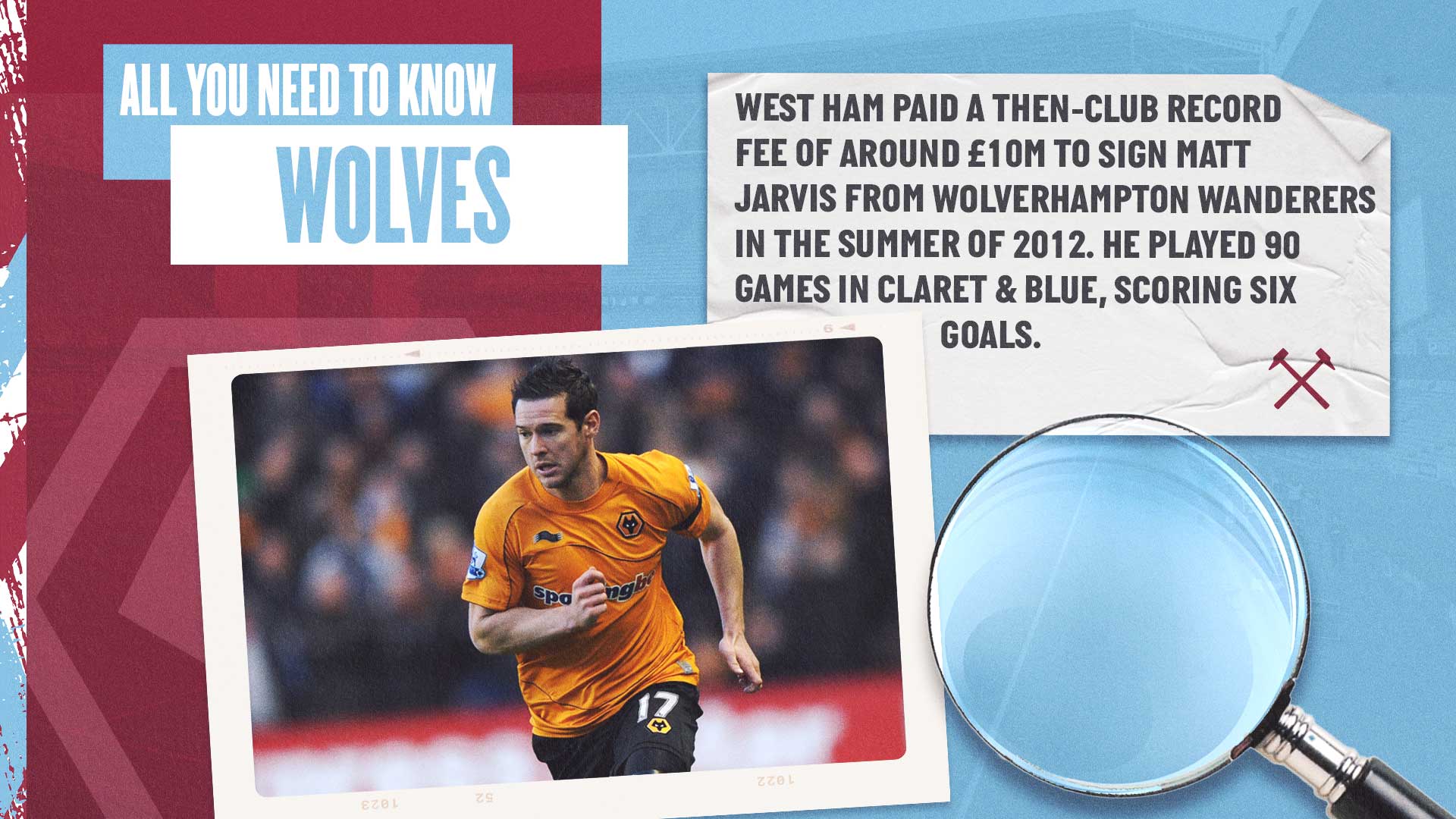Wolves all you need to know fact 1