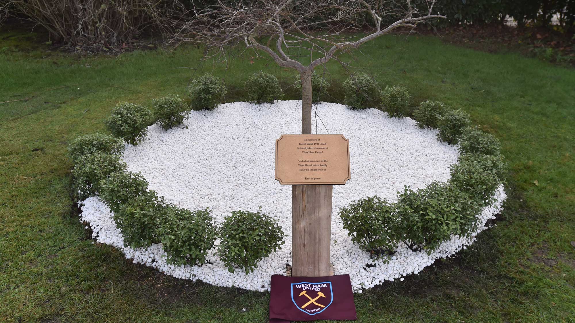 A red Acer tree has been dedicated in memory of David Gold