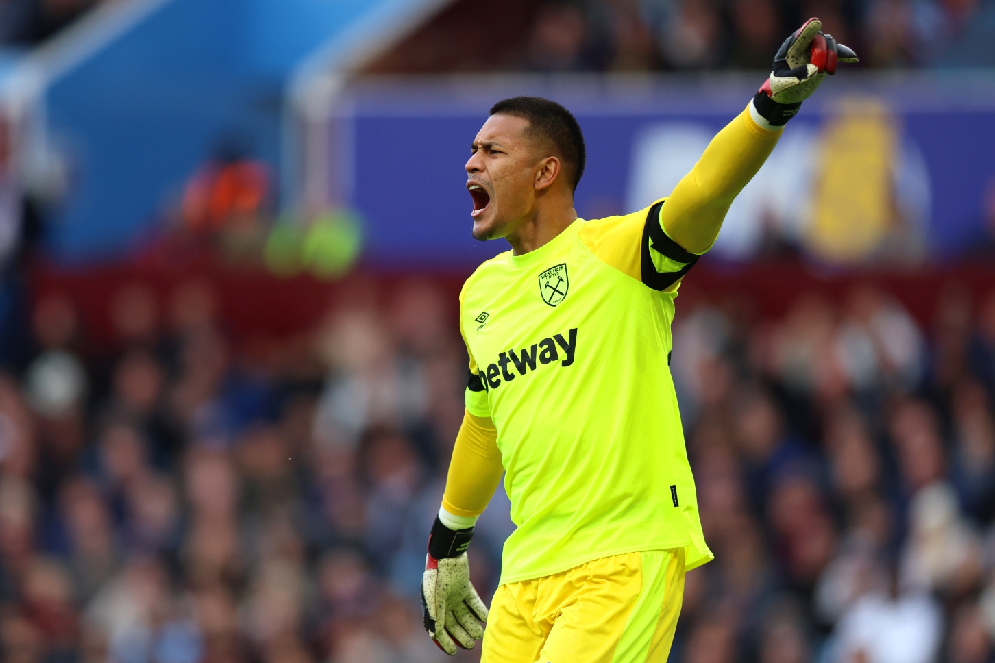 Alphonse Areola 