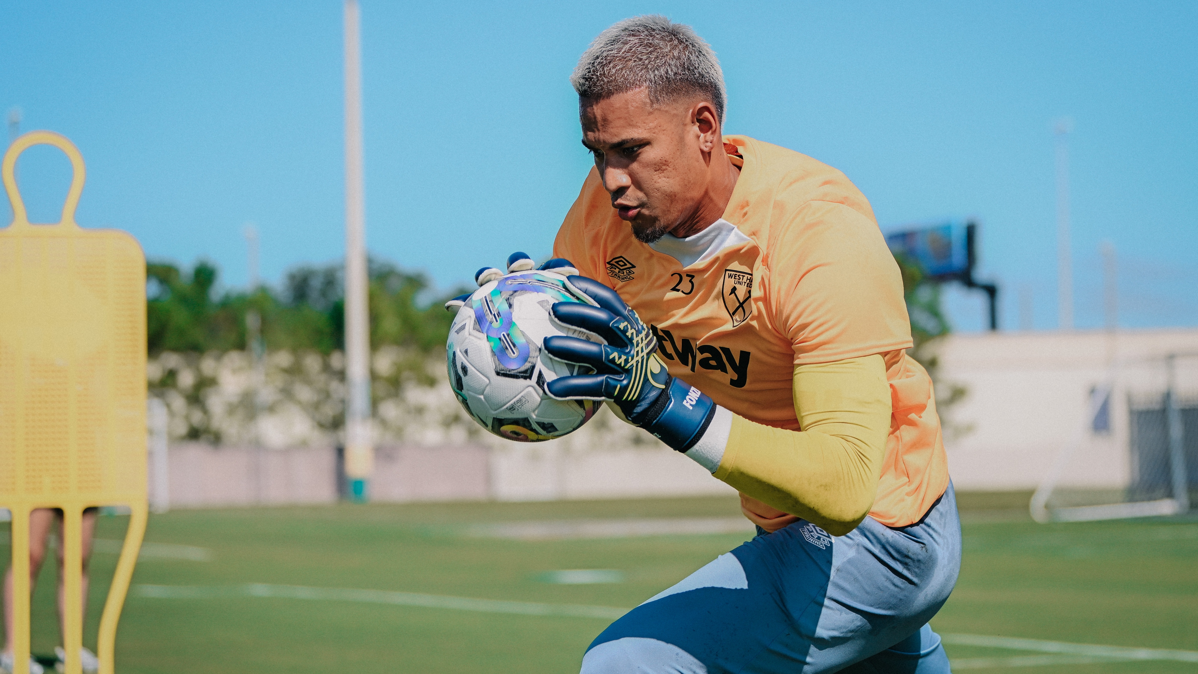 Alphonse Areola 