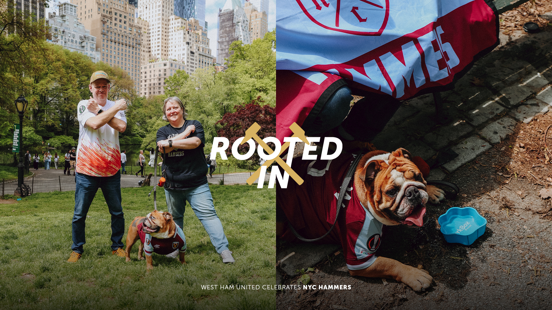 Rooted In | NYC Hammers