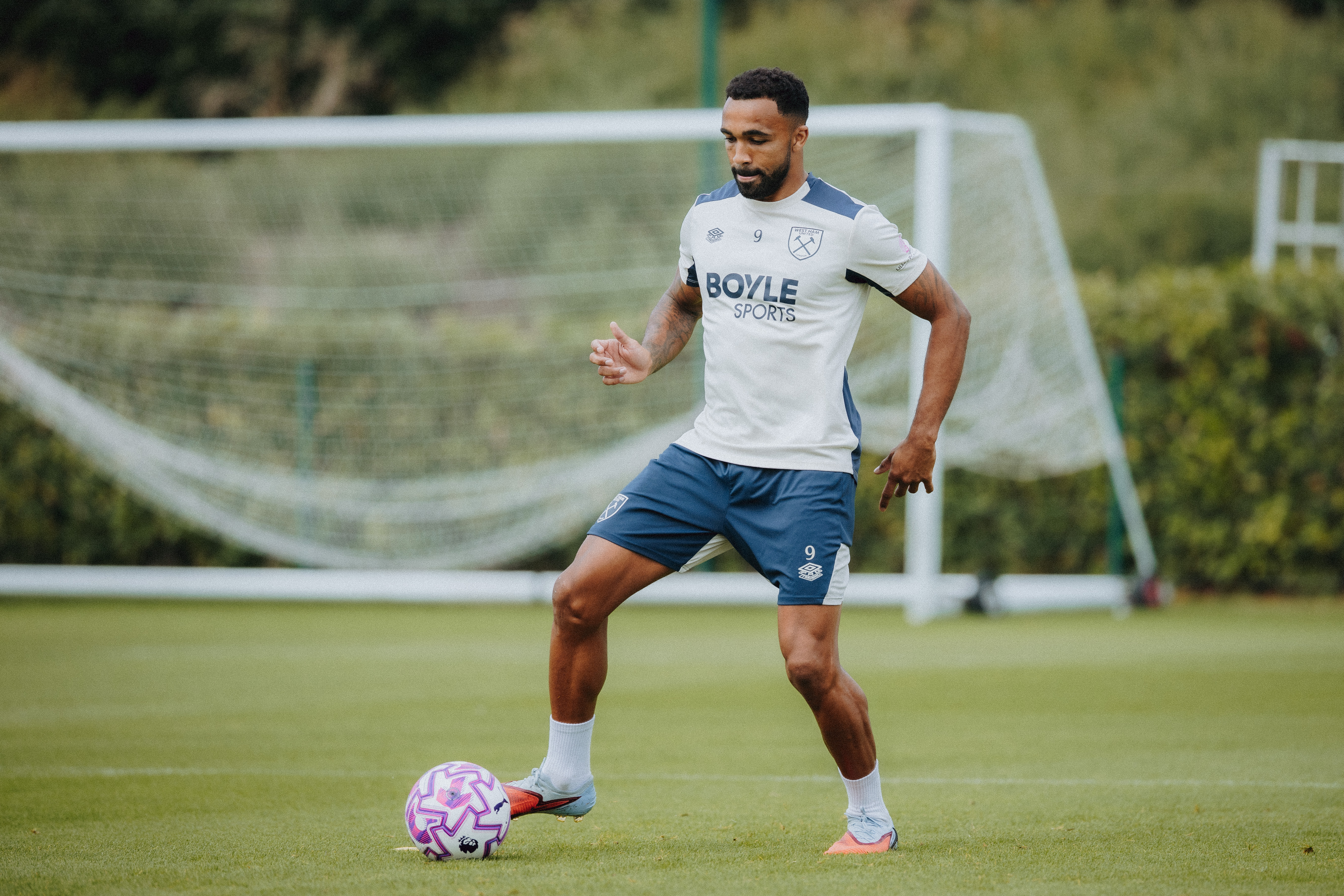 Callum Wilson
