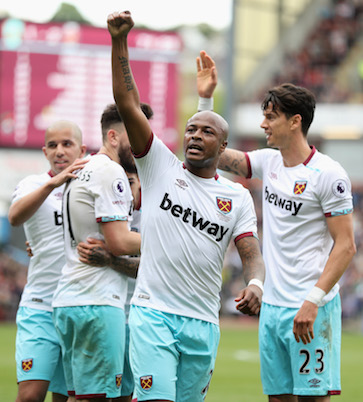 Ayew celebrates