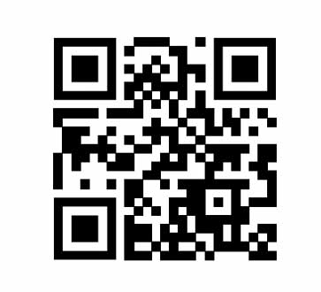 DT38 Foundation QR code