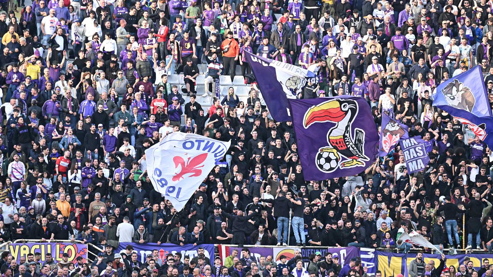 Fiorentina fans