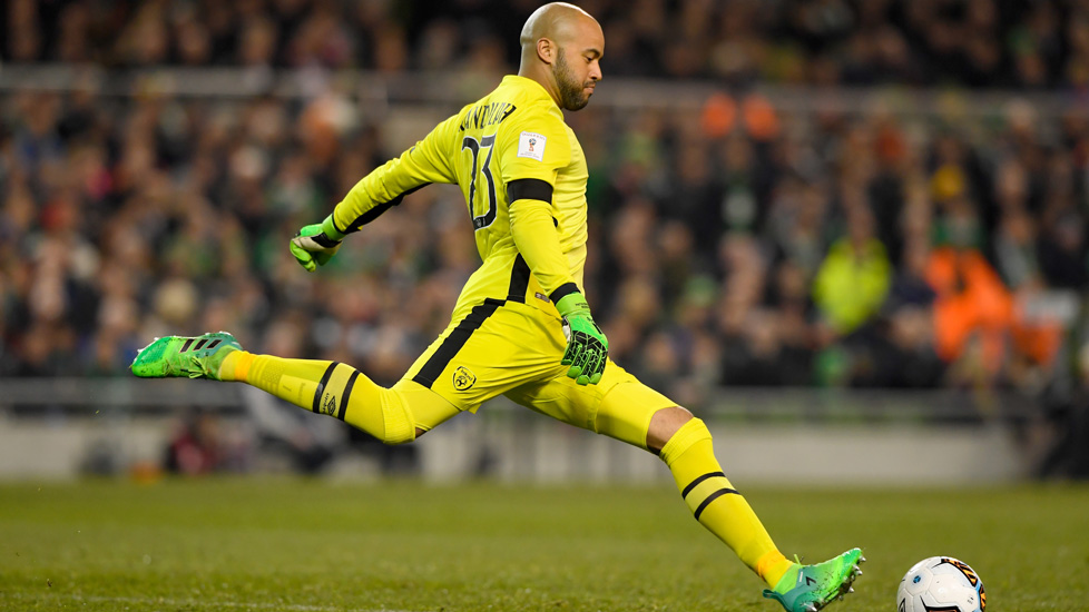 Darren Randolph in action for Ireland