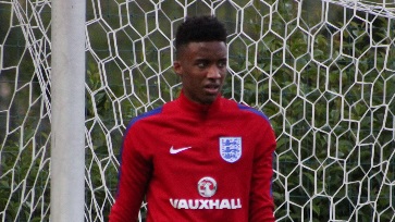 Nathan Trott