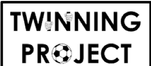 Twinning Project logo